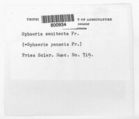 Image Associated With the Occurence